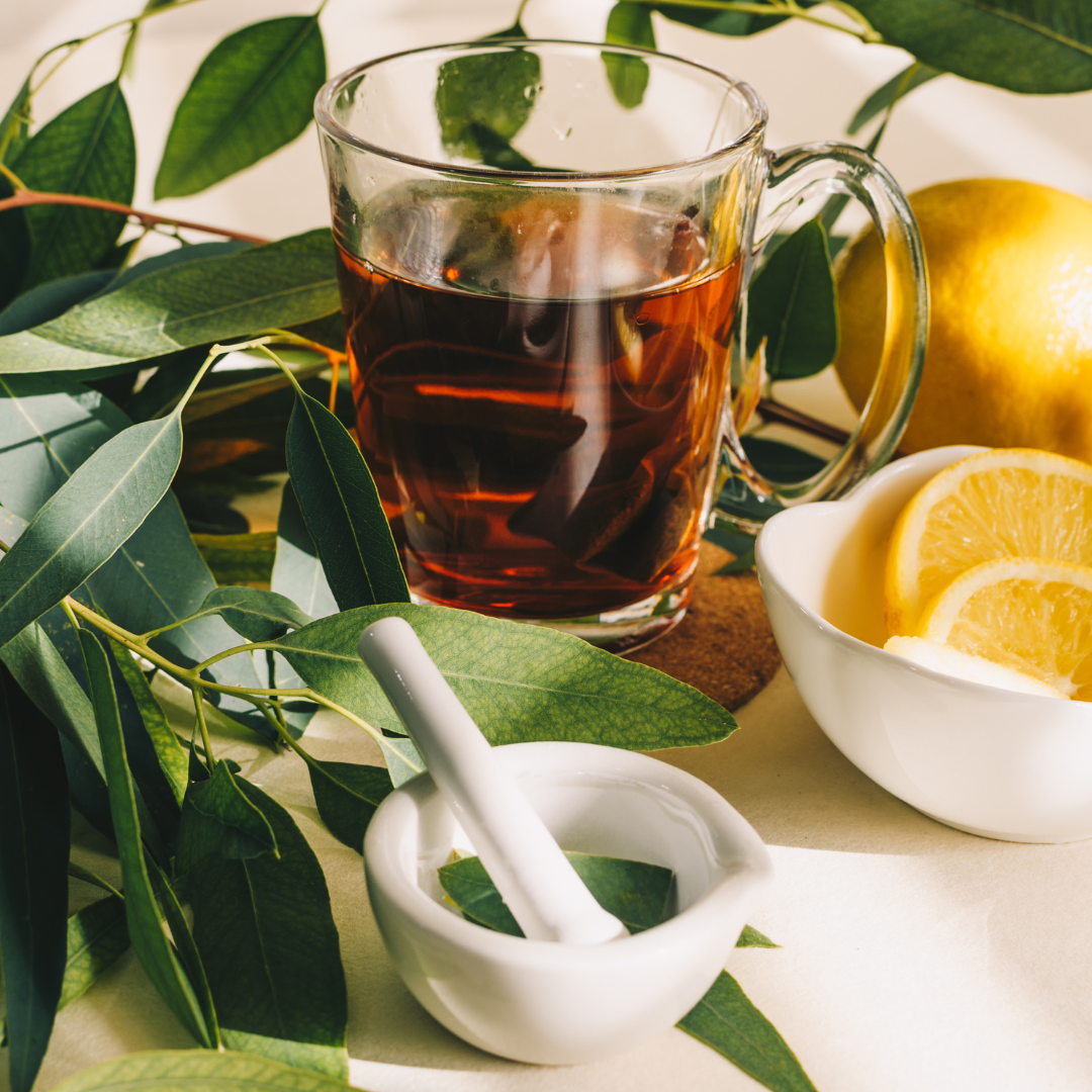 Eucalyptus and Mullein Tea for Natural Cough Relieve