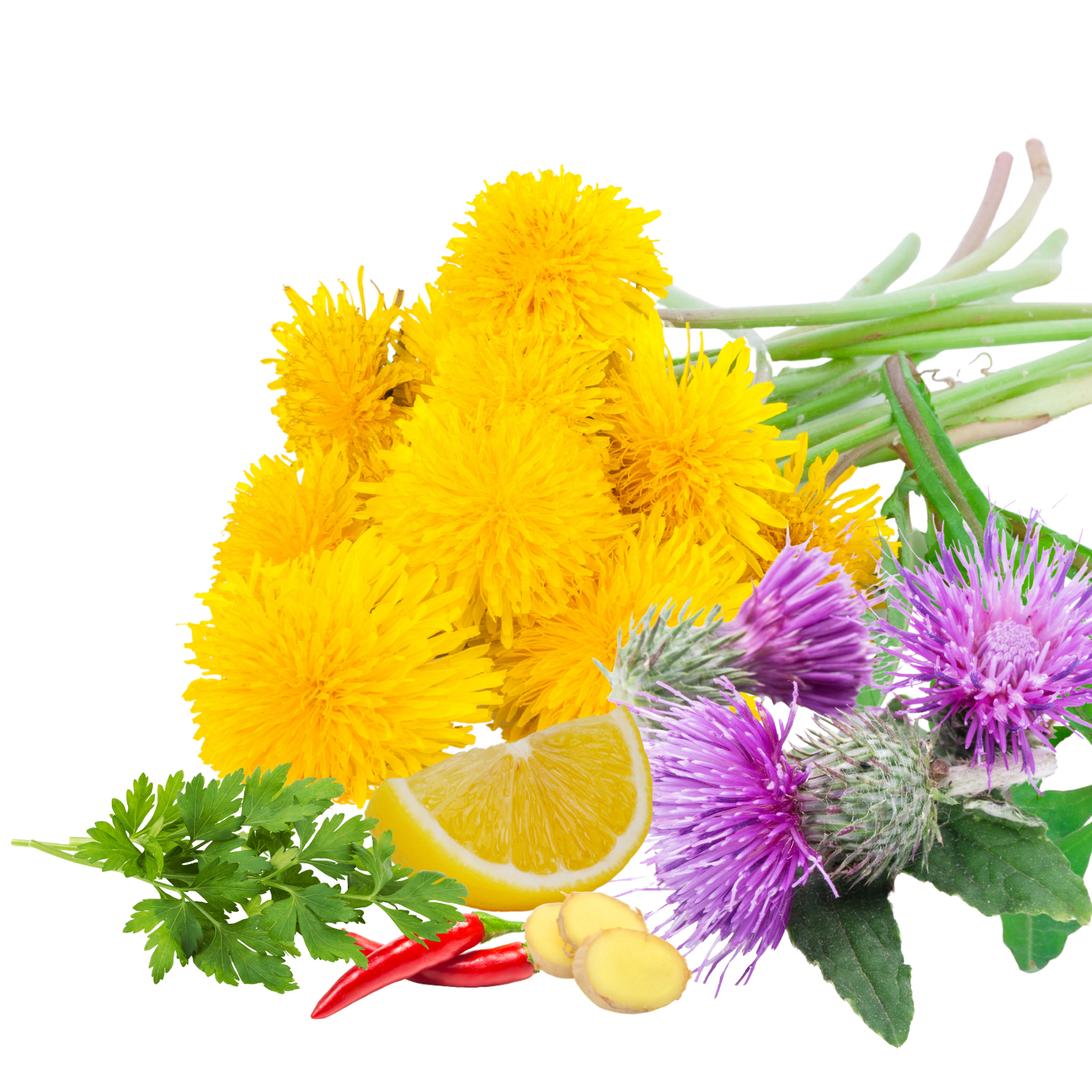 Organic Detox and Digestive Wellness Tea Collection